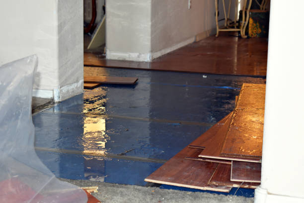 Professional Burst Pipe Cleanup technician working in Macclesfield, NC