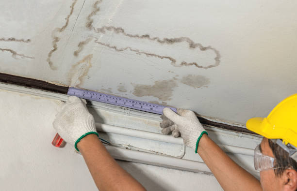 Reliable Burst Pipe Cleanup contractor in Macclesfield, NC by Water Damage Irwin